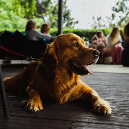 L'albereta Relais & Chateaux